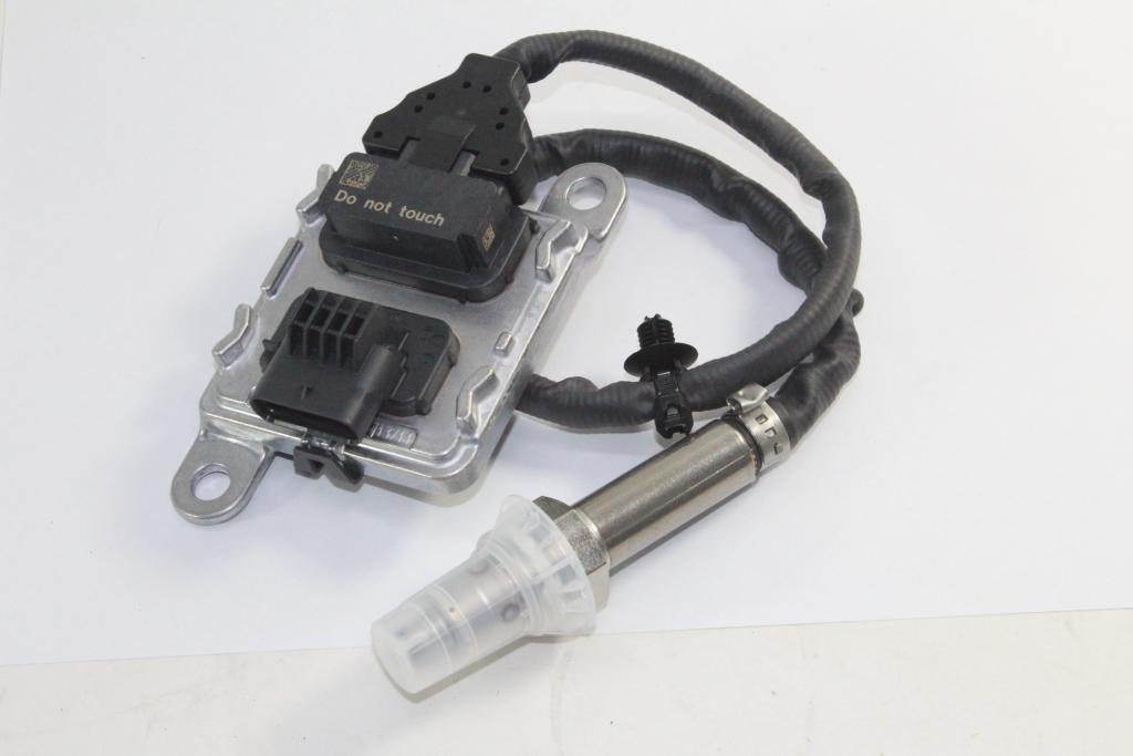 296504A100(584697).JPG