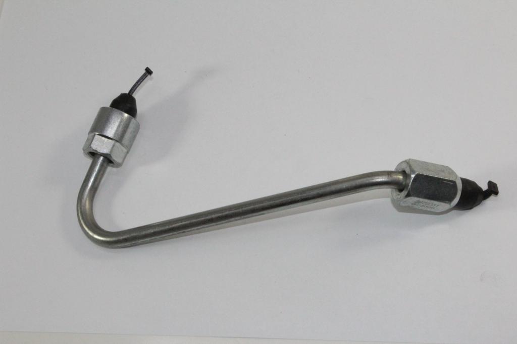 3978031(591084).JPG